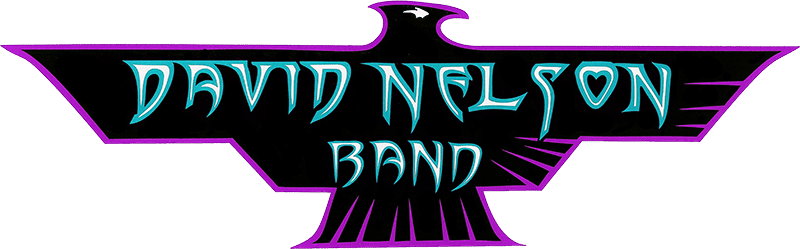David Nelson Band