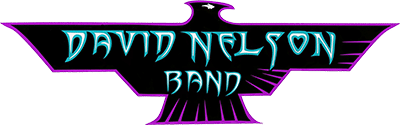 David Nelson Band