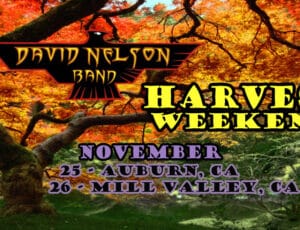 It’s Harvest Time! DNB Harvest Weekend Shows – November 25 – 26